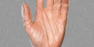 Plastic Disposable Hand Gloves