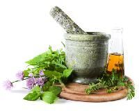 Herbal Health Care Remedies