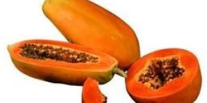 Papaya Pulp & Concentrate
