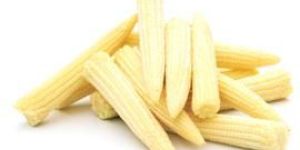 Baby Corn