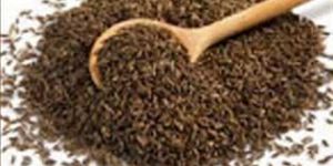 Cumin Seeds 02