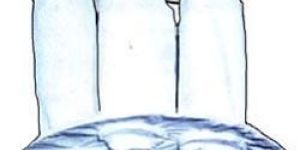 Fluid Bed Dryer Bags