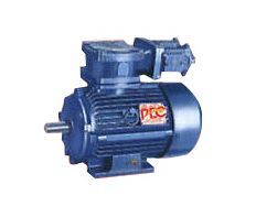 Flame Proof Motor
