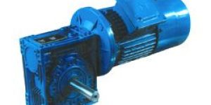WORM GEARED BRAKE MOTOR
