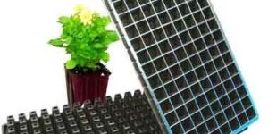 Seedling Tray