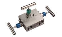 Manifold Valves