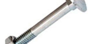 Carriage Bolts
