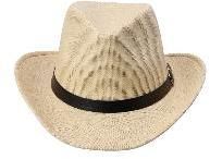Fashion Hats