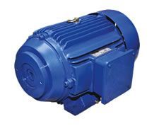 Hollow Shaft Motors