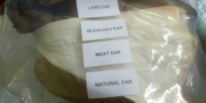 Dog Foods - Ears