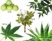 Medicinal Herbal Plants