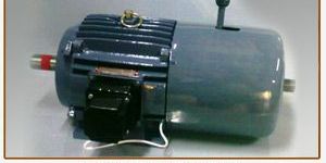 Brake & Clutch Motors ( Explosion and Flame Proof Option )