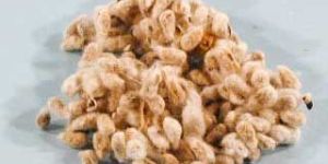 Cotton Seeds