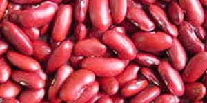Dark Red Kidney Beans