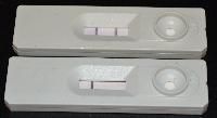 Rapid Action Diagnostic Kits