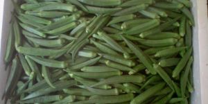 Okra