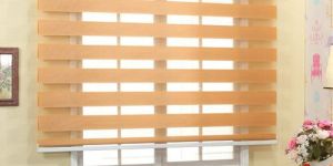Zebra Blinds