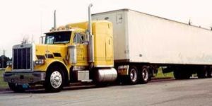 Cargo Logistics Services