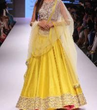 Non Bridal Lehenga
