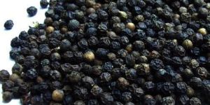 Black Pepper Seeds