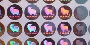 2D Holograms Stickers