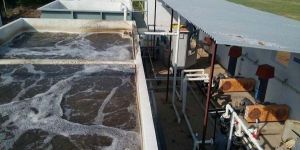 Sewage Treatment Plants