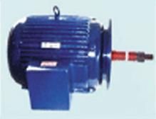 Cooling Tower Motor