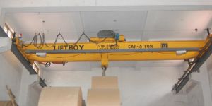 Double Girder EOT Crane