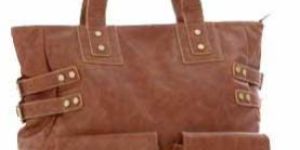 ladies Leather Handbag (ca-lb-110)