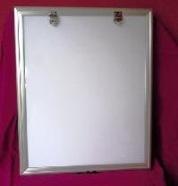 x-ray view box
