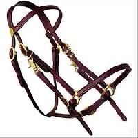 Horse Leather Bridles