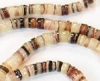 Shell Bead