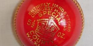 Leather Cricket Balls