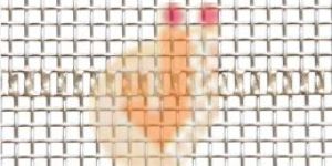 Fine Wire Mesh