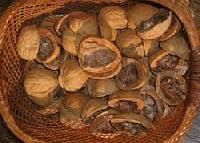 Walnut Shells