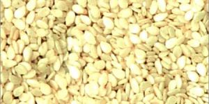 Hulled Sesame Seeds