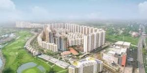 Real Estate Advisory Services