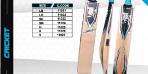 English Willow Cricket Bat