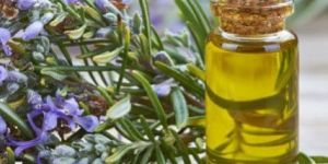Rosemary Oil