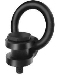 Hoist Rings