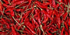 Dried Red Chilli