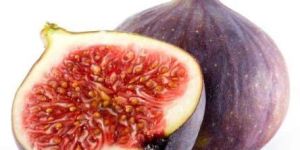 Fig