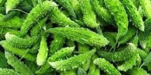 Fresh Bitter Gourd