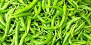 Fresh Green Chilli