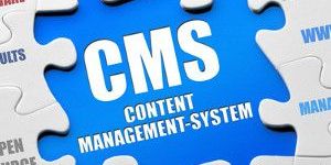 Cms Based Website Development