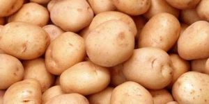Fresh Potato