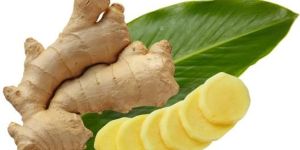 Ginger