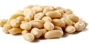 Blanched Peanut Kernels