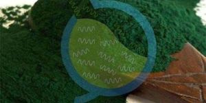 Algae Powder