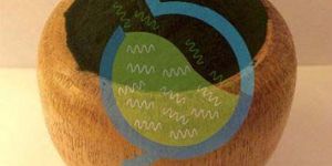 Organic Spirulina Powder